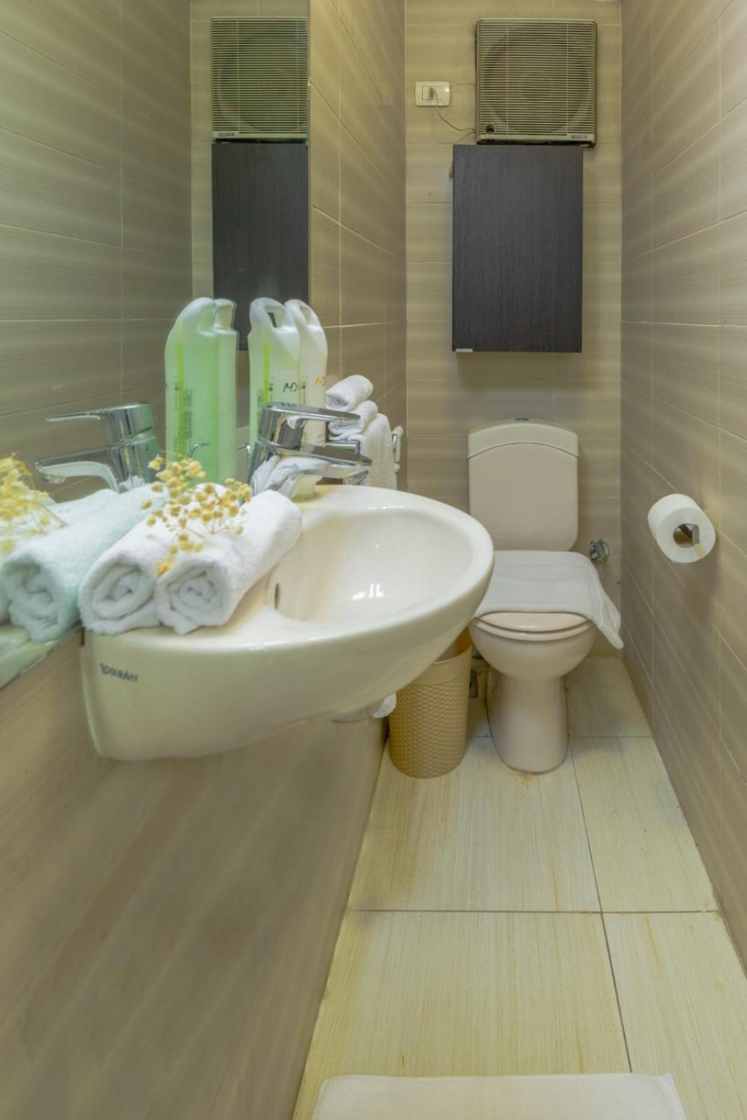 Apartment Zamalek Golden *